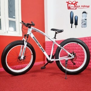 Xe đạp Goodfor G89