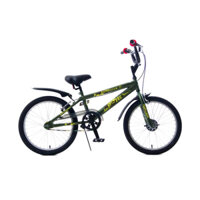 Xe đạp học sinh ASAMA AMT01 20 inch