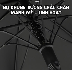 Xe đạp Jett Cycles Daily