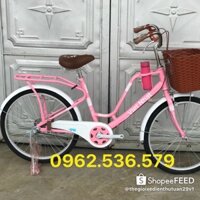 xe dap LATTE - Xe đạp mini Việt Nhật mẫu mới nhất, bền đẹp sang trọng - xe đạp mini size 24,26 - Hàng chất lượng cao