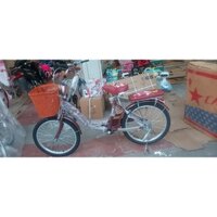 Xe đạp mini nữ giá rẻ 20-22-24-26 inch