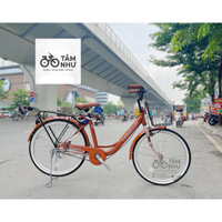 Xe đạp Mini Thống Nhất LD 01 2023