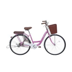 Xe đạp Mini Thống Nhất New 26 inch