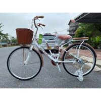 Xe Đạp Mini Việt Nhật LATTE Mẫu Mới Nhất, Hàng Việt Nam Chất Lượng Cao