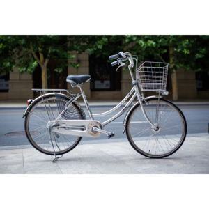 Xe đạp Nhật Bản Maruishi CAT2633