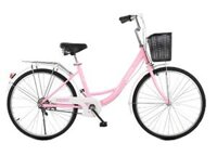 Xe đạp NSBL-24 inch dành cho nữ || xe đạp nữ