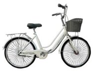 Xe Đạp Nữ CXC 22inch