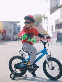 Xe đạp Royal Baby B-6