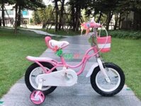 Xe đạp Royal Baby RB-18