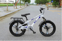 Xe Đạp SITO ST530 Vành Đúc Size 18 Inch