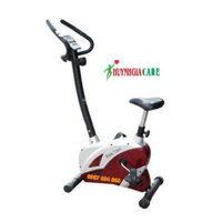 Xe đạp tại chỗ Window Fitness 6014