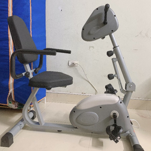 Xe đạp tập cho người bị tai biến Dual E-Bike YD698