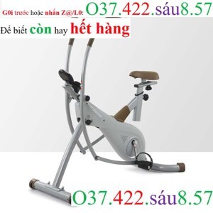 Xe đạp tập Kingsport BK-105