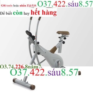 Xe đạp tập Kingsport BK-105