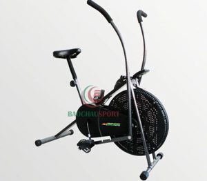 Xe đạp tập liên hoàn Royal 965