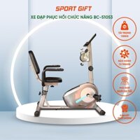 Xe đạp tập thể dục BC-51053, máy tập tay chân cho người tai biến, xe đạp phục hồi chức năng cho người già