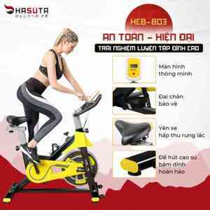 Xe đạp tập thể dục Hasuta HEB-803