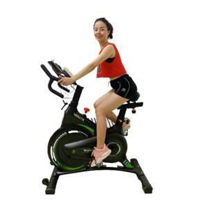 Xe đạp tập thể dục Hasuta HEB-810