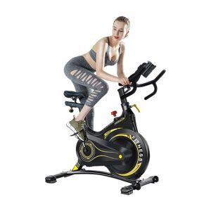 Xe đạp tập thể dục Hasuta HEB-810