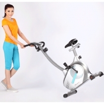 Xe đạp tập thể dục Royal 551C