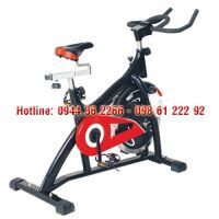 Xe đạp tập thể dục B15GA