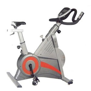 Xe đạp tập thể dục BK8903