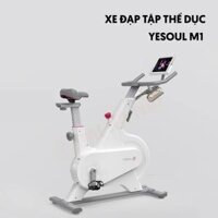 Xe Đạp Tập Thể Dục YESOUL M1 Bản Quốc Tế