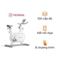 Xe Đạp Tập Thể Dục Yesoul M2