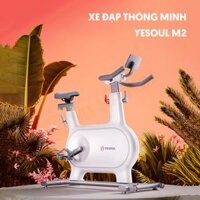 Xe Đạp Tập Thể Dục Yesoul M2 Chính Hãng