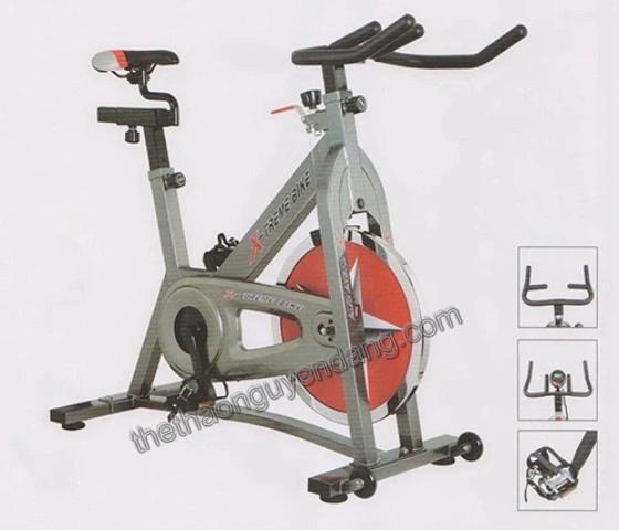 Xe đạp tập thể thao Động Lực 0803