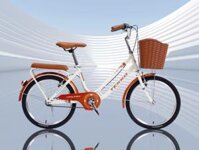 Xe đạp Tekko C200 – kích cỡ 20 và 24 inch - Xe đạp học sinh - Phù hợp với người cao từ 1m10 đến 1m60