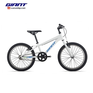 Xe đạp thể thao 2015 ATX 20