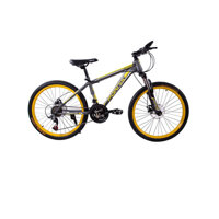 Xe đạp thể thao 24 inch Fornix MS50 (Xám)