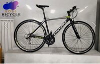Xe Đạp Thể Thao 700c CATANI TOURING CAT 2.0