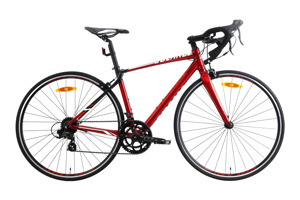 Xe đạp thể thao Asama RB SL2802