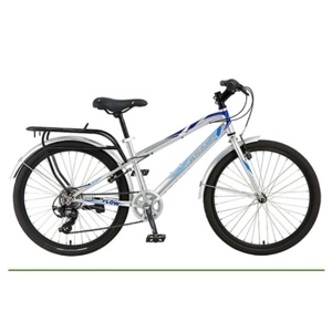 Xe đạp thể thao Asama TRK FL2401