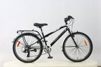 Xe đạp thể thao Asama TRK FL2401 - Đen