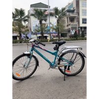 XE ĐẠP THỂ THAO ASAMA TRK FL2401