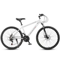 Xe Đạp Thể Thao BIANQI Khung Thép CACBON