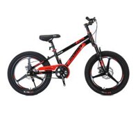 Xe Đạp Thể Thao Borgki VD3D – 20 Inch