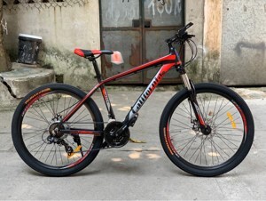 Xe đạp thể thao California 500cc