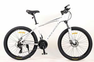 Xe đạp thể thao California 500cc