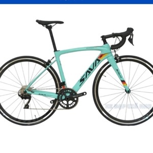 Xe đạp thể thao Carbon SaVa Hi Speed