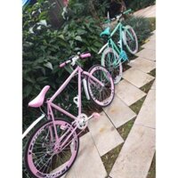 xe đạp thể thao có 2 màu xanh và hồng phù hợp cho nữ giới