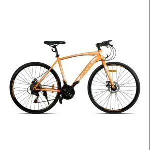 Xe đạp thể thao Fornix BT301