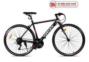 Xe đạp thể thao Fornix BT402