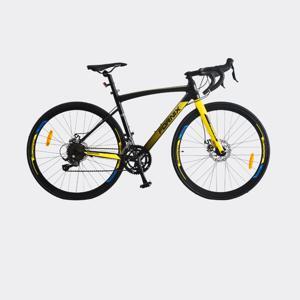 Xe đạp thể thao Fornix R300