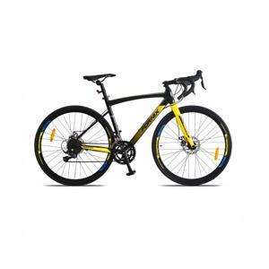 Xe đạp thể thao Fornix R300