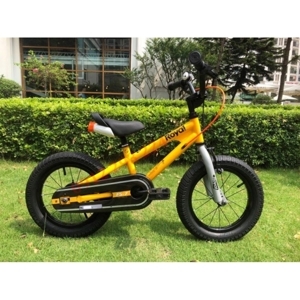 Xe Đạp Thể Thao Freestyle 16
