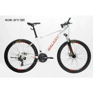 Xe đạp thể thao Galaxy ML200
